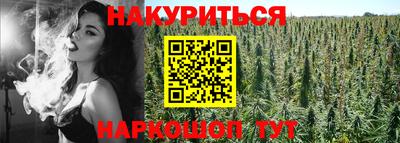гидра Краснознаменск