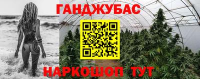 гидра Краснознаменск