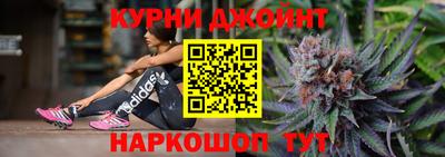 гидра Краснознаменск