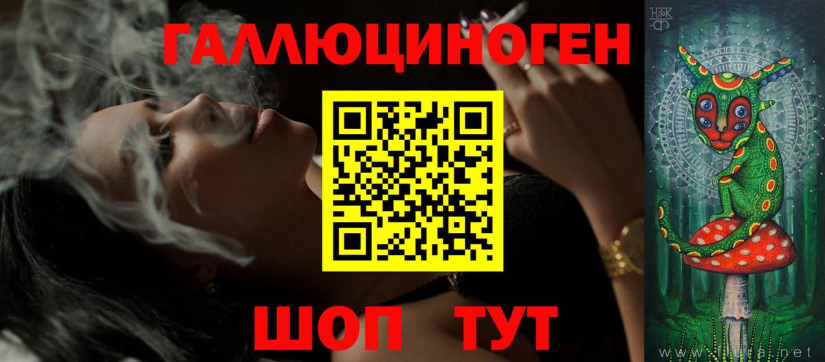 Кандалакша  Галлюциногенные грибы Psilocybine cubensis  Вход с VPN 